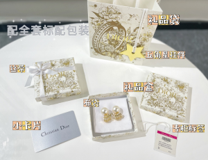 Replica Womens Jewelry Dior VIP Tribales Crystals Earrings A62PP170 AA180549