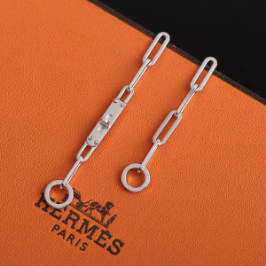Hermes Earrings Silver 