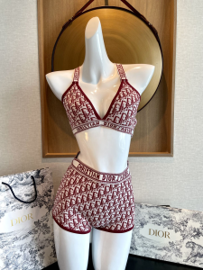 Dior Burgundy Dior Oblique Swimsuit Bikini 