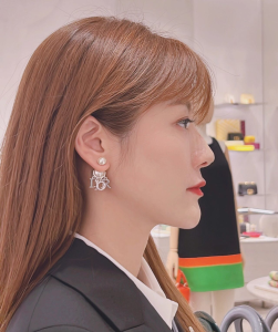 Replica Womens Jewelry Dior Tribales Monogram Earrings Silver A39PP130 AA185261