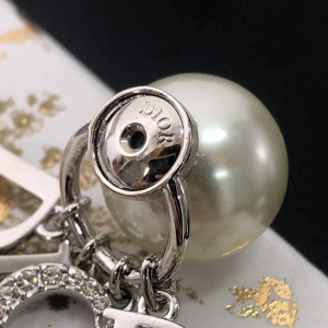 Replica Womens Jewelry Dior Tribales Monogram Earrings Silver A39PP130 AA185261