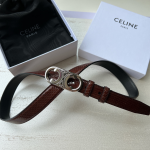 Celine Triomphe Burgundy Python Leather Belt 25MM 