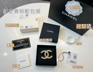 Replica Womens Jewelry Chanel Crystals CC Logo Brooch A62PP180 AA187703