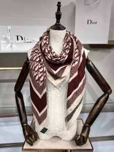 Dior Burgundy Dior Oblique Silk Scarf 