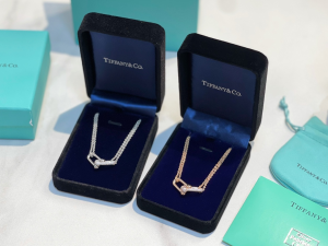 Tiffany Hardwear Double Link Pendant Necklace 