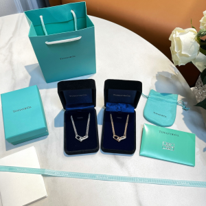 Replica Womens Jewelry Tiffany Hardwear Double Link Pendant Necklace A62PP280 AA188820