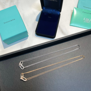 Replica Womens Jewelry Tiffany Hardwear Double Link Pendant Necklace A62PP280 AA188820