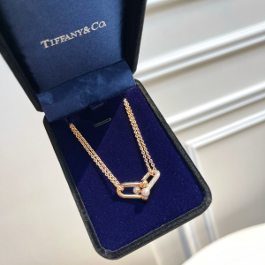 Replica Womens Jewelry Tiffany Hardwear Double Link Pendant Necklace A62PP280 AA188820