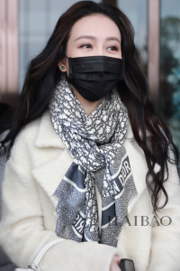 Replica Womens Scarf Dior Oblique Gray Cashmere Silk Scarf 70x200CM A151PP280 AA188868