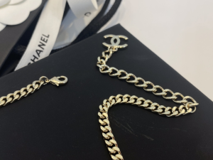 Essenceofluxury Womens Jewelry Chanel CC Chain Necklace A39PP180 AA192617