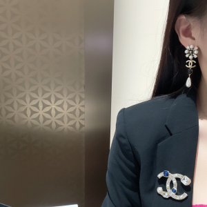 Essenceofluxury Womens Jewelry Chanel Crystals CC Logo Brooch A39PP180 AA192818