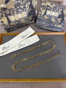Essenceofluxury Womens Belts Dior Caro CD Chain Belt Gold A175PP240 AA193266