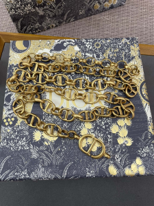 Essenceofluxury Womens Belts Dior Caro CD Chain Belt Gold A175PP240 AA193266