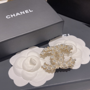 Essenceofluxury Womens Jewelry Chanel Studded Diamonds CC Logo Brooch A173PP180 AA193782