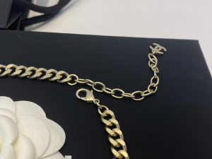 Essenceofluxury Womens Jewelry Chanel Chain Necklace A39PP280 AA194243