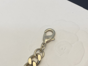 Essenceofluxury Womens Jewelry Chanel Chain Necklace A39PP280 AA194244