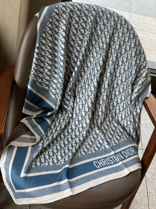 Essenceofluxury Womens Scarf Dior Oblique Cashmere Silk Scarf in Blue Gray A151PP280 AA195217