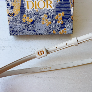 Essenceofluxury Womens Belts Dior Bobby Belt in White Smooth Calfskin 15MM A175PP240 AA196038