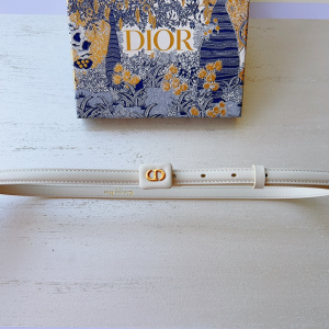 Essenceofluxury Womens Belts Dior Bobby Belt in White Smooth Calfskin 15MM A175PP240 AA196038