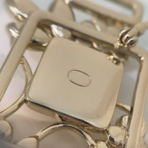 Essenceofluxury Womens Jewelry Chanel Crystals CC Leaf Brooch A152PP180 AA196009