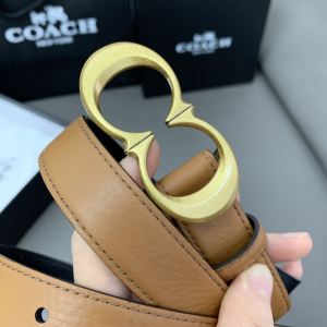 Essenceofluxury Womens Belts Coach Leather Belt in Brown 25MM A175PP240 AA197020