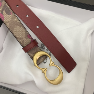 Essenceofluxury Womens Belts Coach Leather Belt in Red 25MM A175PP240 AA197025