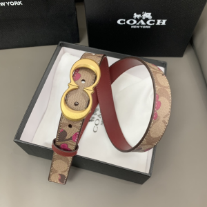 Essenceofluxury Womens Belts Coach Leather Belt in Red 25MM A175PP240 AA197025