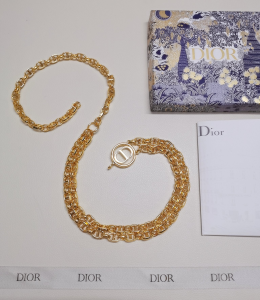 Essenceofluxury Womens Belts Dior Caro Multichain Belt in Shiny Gold 30MM A29PP240 AA197094