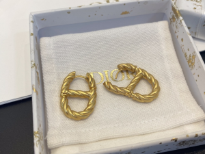 Essenceofluxury Womens Jewelry Dior Gold CD Navy Earrings A39PP180 AA198665