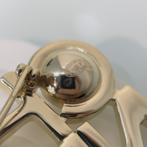 Essenceofluxury Womens Jewelry Chanel Gold Monogram CC Logo Brooch A205PP180 AA198901