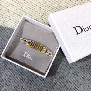 Dior Evolution Brooch Crystals 