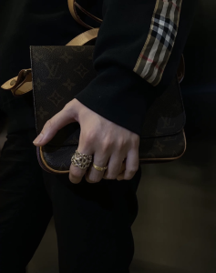 Essenceofluxury Womens Jewelry Hermes Chaine DANCRE Enchainee Rings Silver A205PP380 AA198919