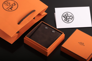 Essenceofluxury Womens Jewelry Hermes Finesse Chaine dAncre Earrings Silver A205PP180 AA198898