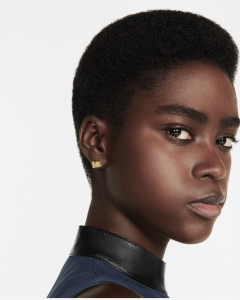 Essenceofluxury Womens Jewelry Louis Vuitton LV Petite Malle Earrings Gold A205PP180 AA198903