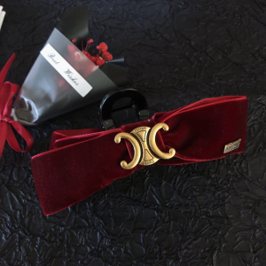 Essenceofluxury Womens Jewelry Celine Triomphe Hair Clip A152PP180 AA200460