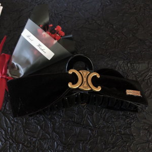 Essenceofluxury Womens Jewelry Celine Triomphe Hair Clip A152PP180 AA200460