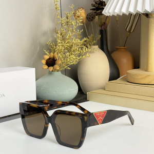 Prada Luxury Eyewear Sunglasses SPR28Y Brown 
