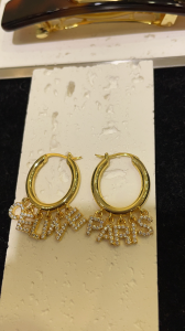 Dior Crystals Paris Earrings 