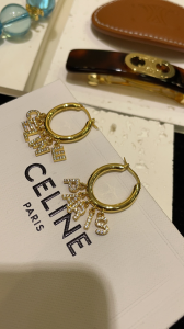 Essenceofluxury Womens Jewelry Dior Crystals Paris Earrings A152PP180 AA203163