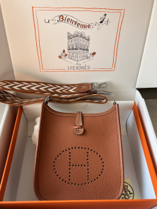 Hermes Evelyne 16 Togo Bag Brown