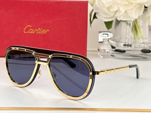 Cartier Eyewear Sunglasses CT8156 Blue