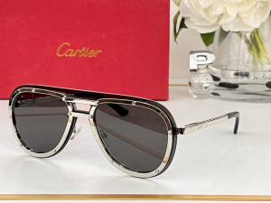 Cartier Eyewear Sunglasses CT8156 Gray