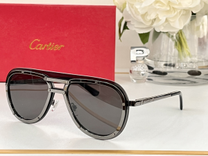 Cartier Eyewear Sunglasses CT8156 Gray
