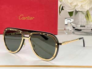 Cartier Eyewear Sunglasses CT8156 Gray