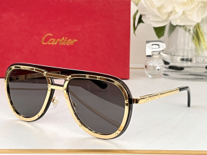 Cartier Eyewear Sunglasses CT8156 Gray