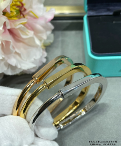 Tiffany Lock Bangle Bracelet