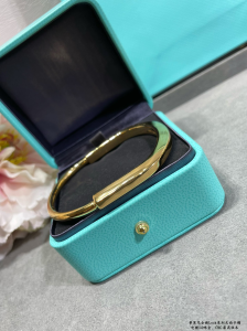 Tiffany Lock Bangle Bracelet