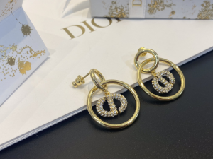 Dior Crystal CD Navy Earrings Gold