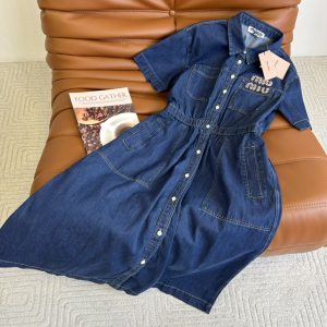 Miu Miu Denim Blue Dress