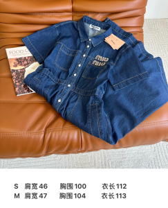 Miu Miu Denim Blue Dress